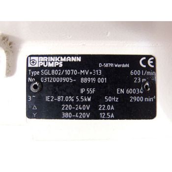 Brinkmann SGL802 / 1070-MV + 313 submersible pump