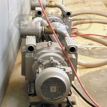 MORBIDELLI AUTHOR 636