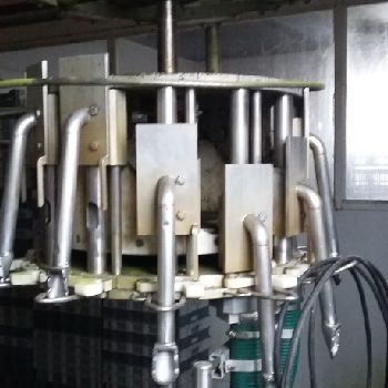 Linco Chaîne eviscération Slaughterhouse