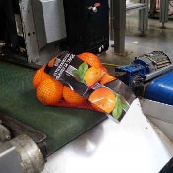 Used Sorma net packaging machine / Girsac machine