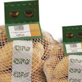 Used Sorma net packaging machine / Girsac machine