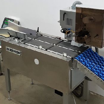 Bizerba PTV Labeller