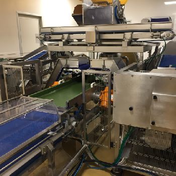 Cosmo Srl "Venusia Junior Double Evo Dryer