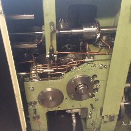 SAPAL 10 OTC chew pack