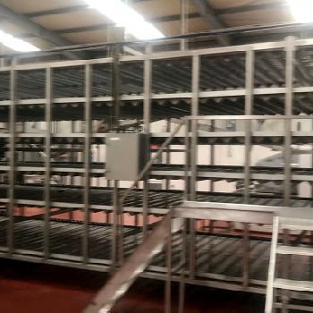 Tonelli, Indumatic, Sayoa, Termopan, Tecknopack, Yamato, Rovema Complete biscuit or croissant production line