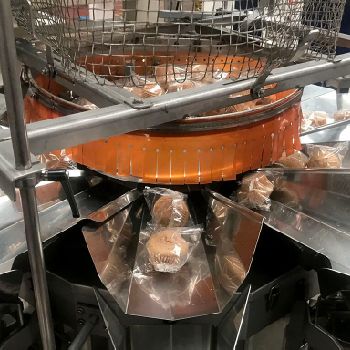 Tonelli, Indumatic, Sayoa, Termopan, Tecknopack, Yamato, Rovema Complete biscuit or croissant production line