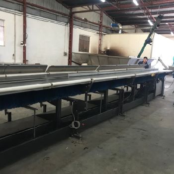 Fruit calibrator, electronic by weight. COMPAC