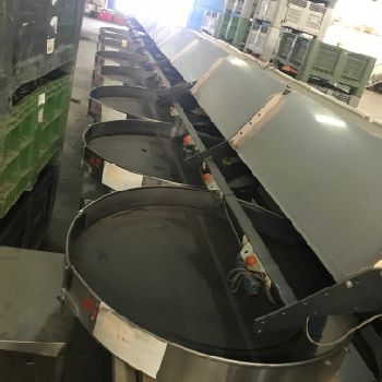 Fruit calibrator, electronic by weight. COMPAC