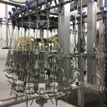 Linco Sloughterhouse 12000 b/h