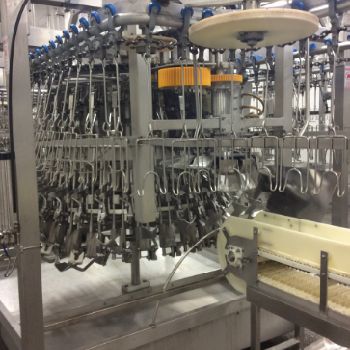 Linco Sloughterhouse 12000 b/h