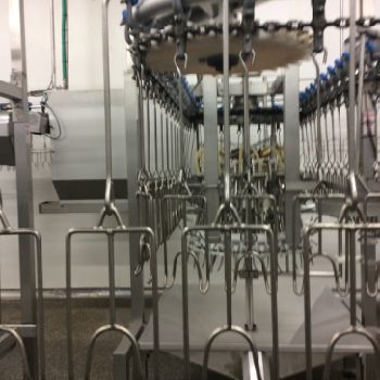 Linco Sloughterhouse 12000 b/h