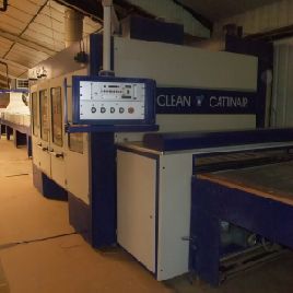 CATTINAIR ROTO G Pflanze