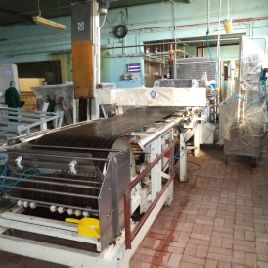 Werner Pfleiderer 800 mm Cooking tunnel