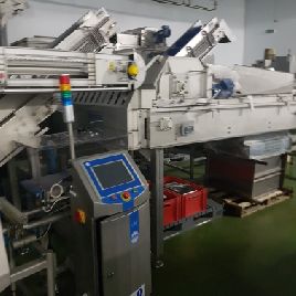 Eima Maschinenbau VWS 10 Vegetable and fruit cutting, washing and blanching machine