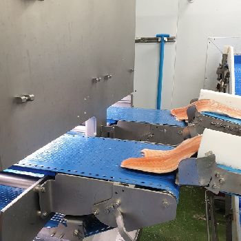 Marel ITM2 Trimming Line