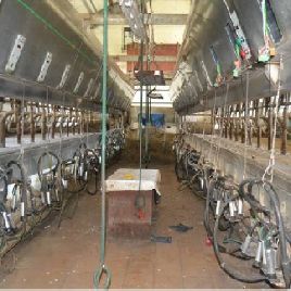 Westfalia Surge Equipment for milk farm Food machinery