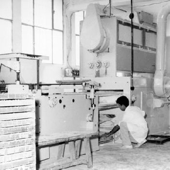 Makat Werner MOGUL Candy machine