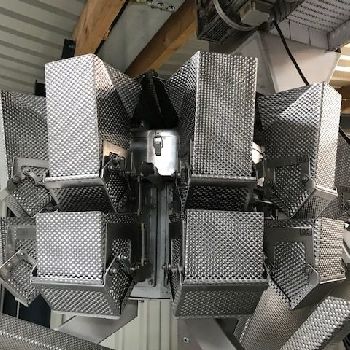 PFM Zenith Multihead Weigher and Bagging Line