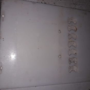 Formax F-400 meatball forming machine