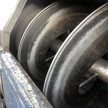 PPM - Vegetable and fruit cutting, washing and blanching machine