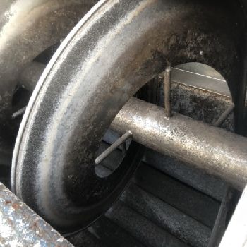 PPM - Vegetable and fruit cutting, washing and blanching machine