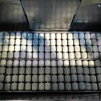 Cryovac ST08 Food machinery