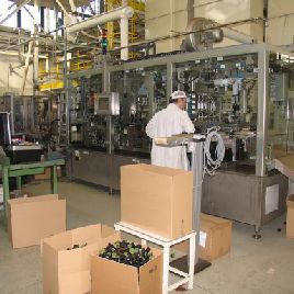 Optima CF2L Máquina de llenado - Té-café