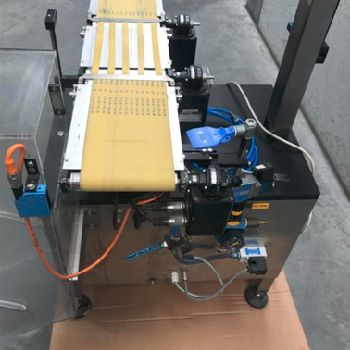 Garvens VS 2 Checkweigher