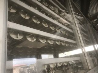 König KGV III bun line - 9.600-10.500 pcs/h