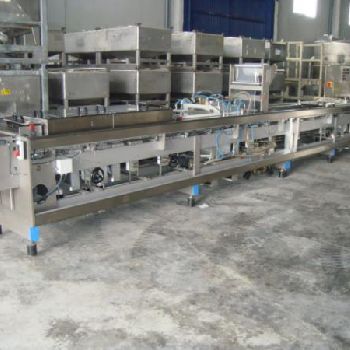 Elton 6000 (420) Thermoforming - Form, Fill and Seal Line