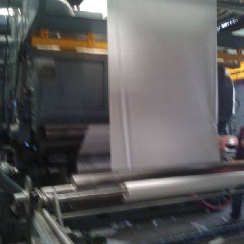 Cerutti ES 16 Web continuous printing press