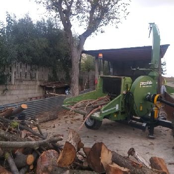Used Pezzolato pth 300 Wood chipping machine