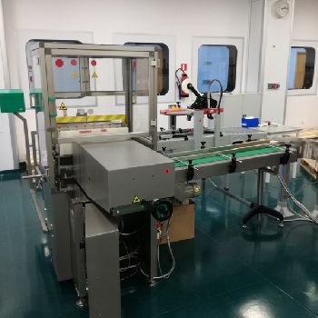 Marchesini PS300 Case packer