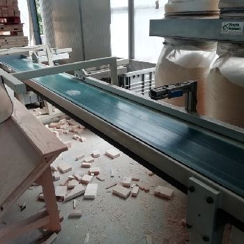 Used Bottene R5000 Used cross-cut optimizing saw