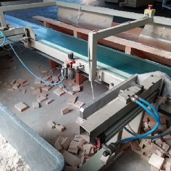 Used Bottene R5000 Used cross-cut optimizing saw
