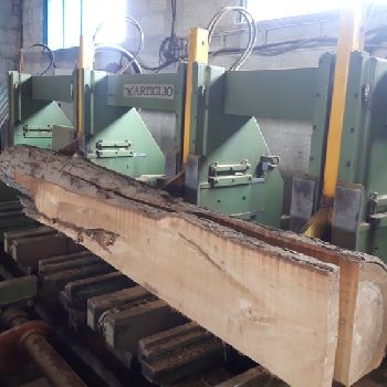 Used Automated Hydraulic Log Band Saw Artiglio ST 1400 EO 800