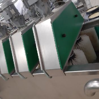 Sprejer Washing line for vegetable and fruit, Niko