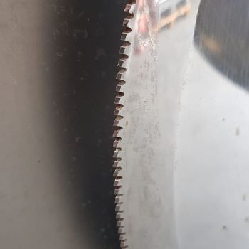 Treif Puma CE Cutter