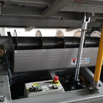 Zaffaroni MLS 80 Plant