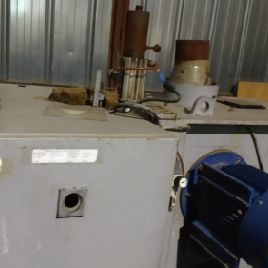 Итали №M 3412 Plant