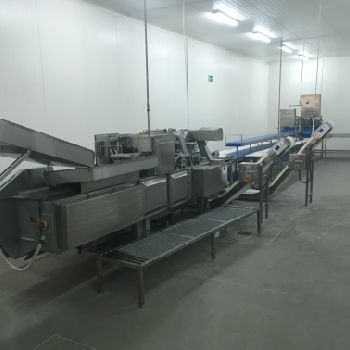 Marel, Carnitech, Baader, Fomaco Salmon processing line Skinning