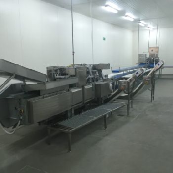 Marel, Carnitech, Baader, Fomaco Salmon processing line Skinning