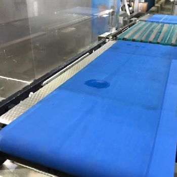 Graseby Best Inspection - Checkweigher