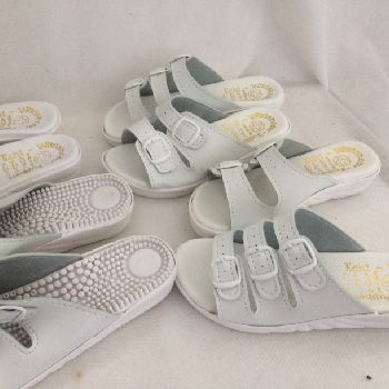 Offered for sale was complete shoe manufacturing plant