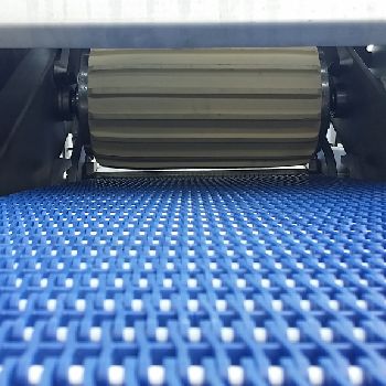 Marel Townsend SK9000 Skinning