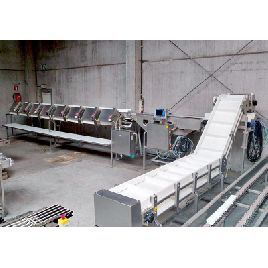 Marel A320 Feeder - scale - sorting machine