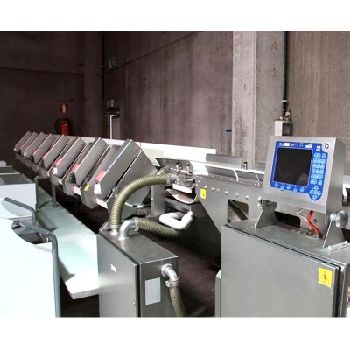 Marel A320 Feeder - scale - sorting machine