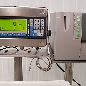 Bizerba BT Checkweigher