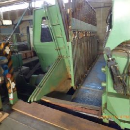 Planta Angelo Cremona TZE5200