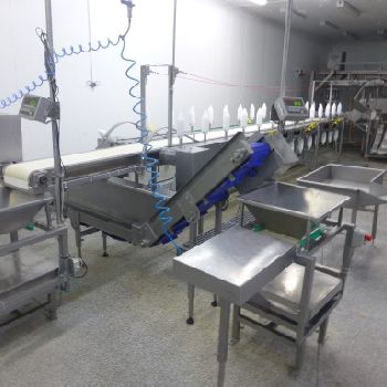 Linco COMPLETE CHICKEN FACTORY EQUIPMENT Food machinery